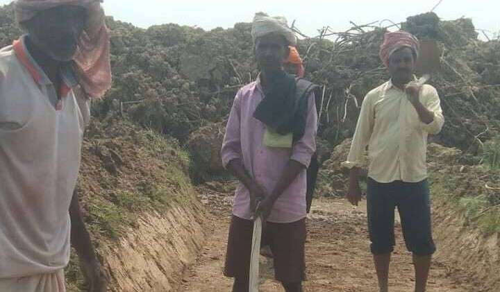 पंचायत में MNREGA के तहत 11 हजार 453 योजनाओ का चयन