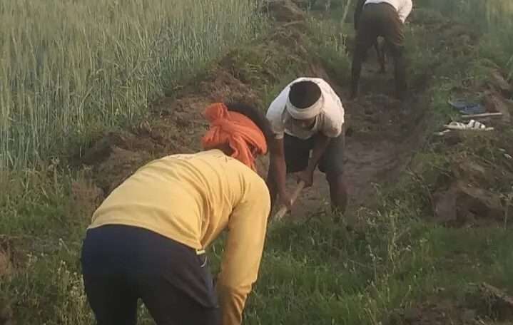 मनरेगा में महिलाओं की भागीदारी 52 फीसदी तक पहुंची