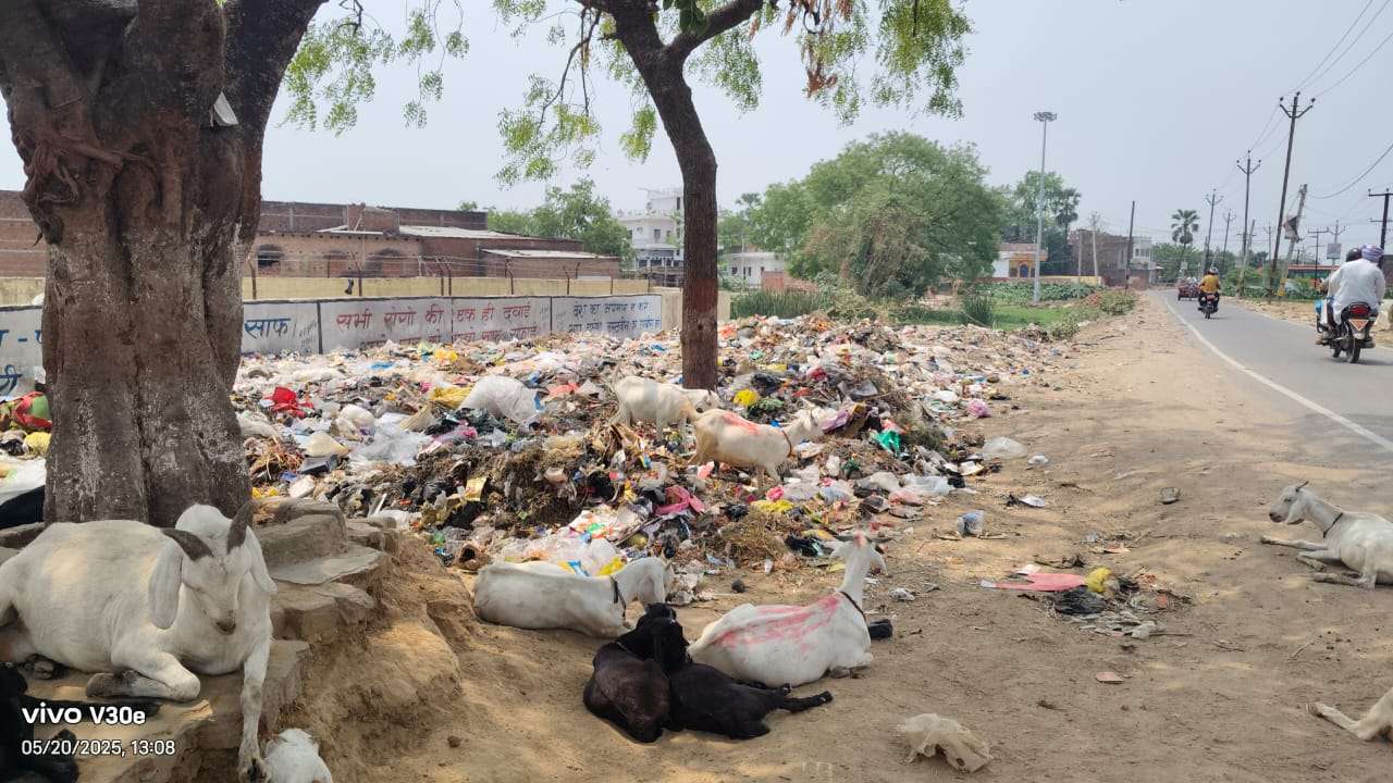 जहां खाली जगह मिली, वहां बना डंपिंग ज़ोन